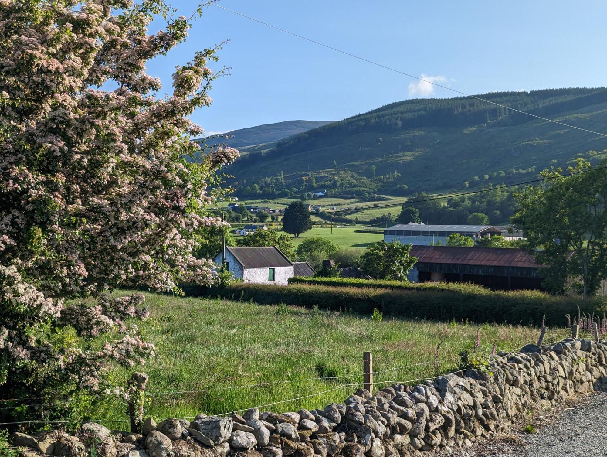 Killeavy Cottage Meigh Exterior photo